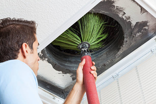 Best HVAC Maintenance and Cleaning  in Waverly, VA